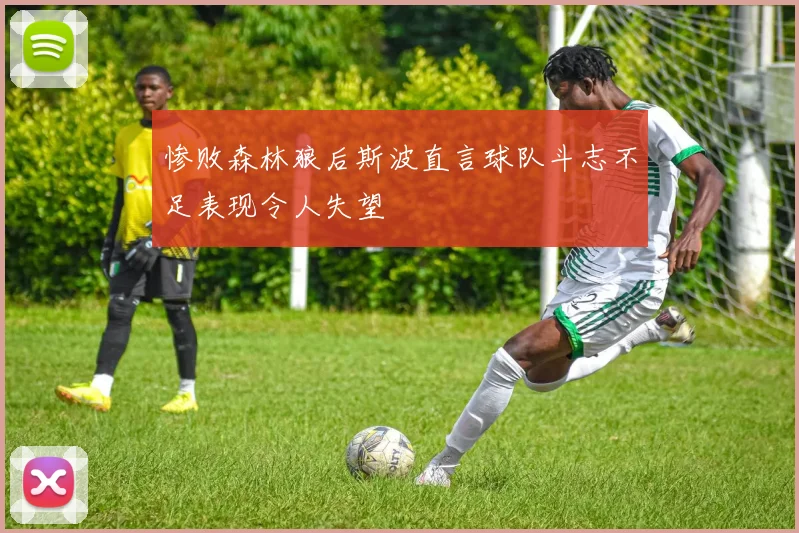 惨败森林狼后斯波直言球队斗志不足表现令人失望
