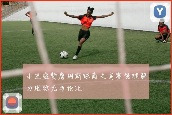 小里盛赞詹姆斯球商之高赛场理解力堪称无与伦比
