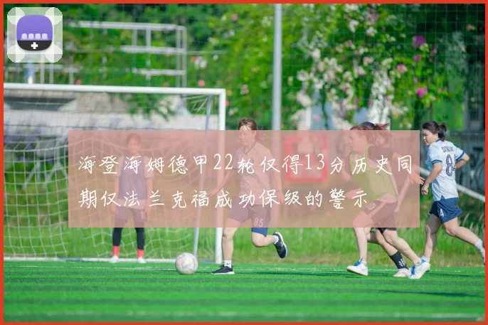 海登海姆德甲22轮仅得13分历史同期仅法兰克福成功保级的警示